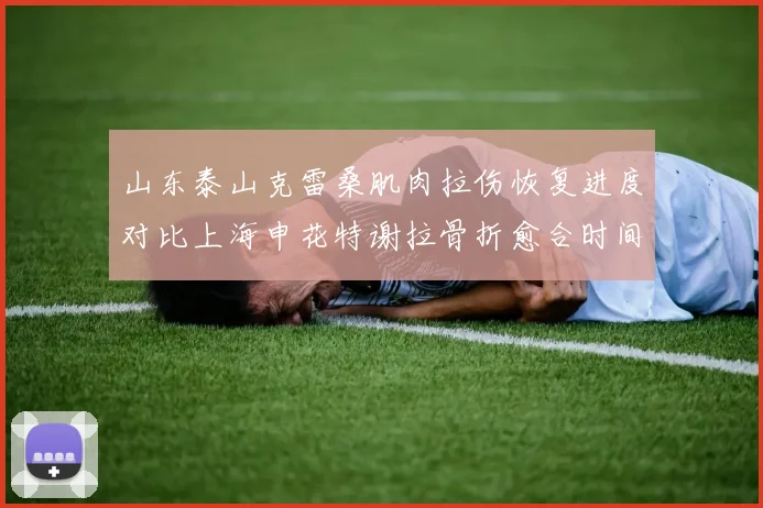 山东泰山克雷桑肌肉拉伤恢复进度对比上海申花特谢拉骨折愈合时间表